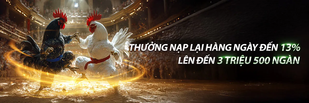 Trực Tiếp Đá Gà Thomo Ngày 27 Tháng 11